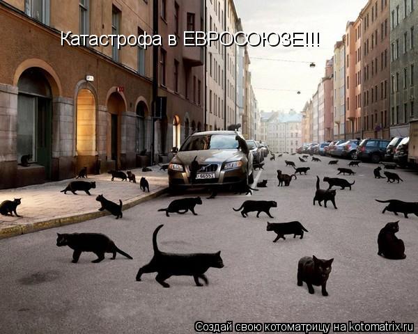 Котоматрица: Катастрофа в ЕВРОСОЮЗЕ!!!