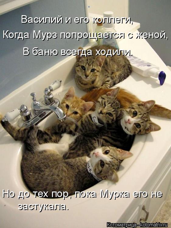 Котоматрица: Василий и его коллеги, Когда Мурз попрощается с женой, В баню всегда ходили. Но до тех пор, пока Мурка его не застукала.