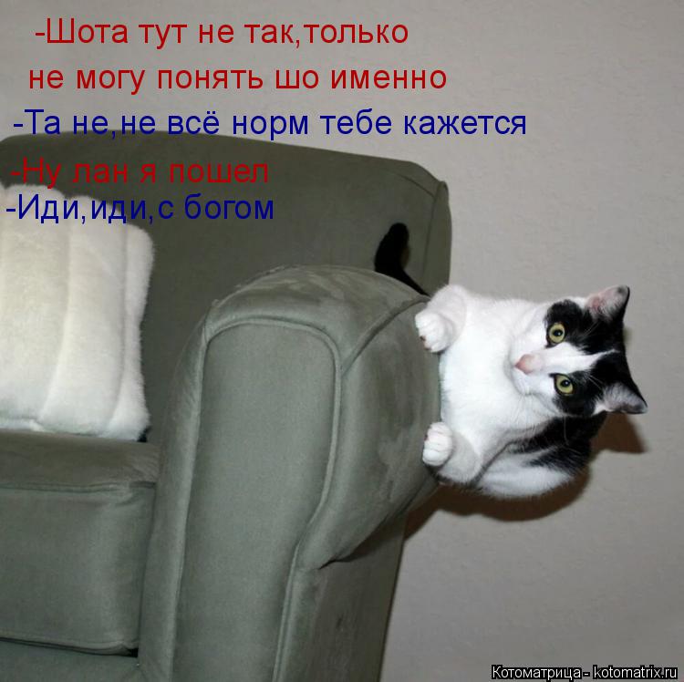 -Шота тут не так,только не могу понять шо именно -Та не,не всё норм тебе кажется -Ну лан я пошел -И... Котоматрица: -Шота тут не так,только не могу понять шо именно -Та не,не всё норм тебе кажется -Ну лан я пошел -Иди,иди,с богом