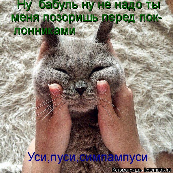 Котоматрица: Уси,пуси,симпампуси Ну  бабуль ну не надо ты меня позоришь перед пок- лонниками