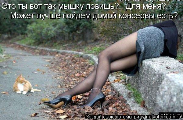 Котоматрица: Может лучше пойдём домой консервы есть? Это ты вот так мышку ловишь?.. Для меня?.. ...Может лучше пойдём домой консервы есть?
