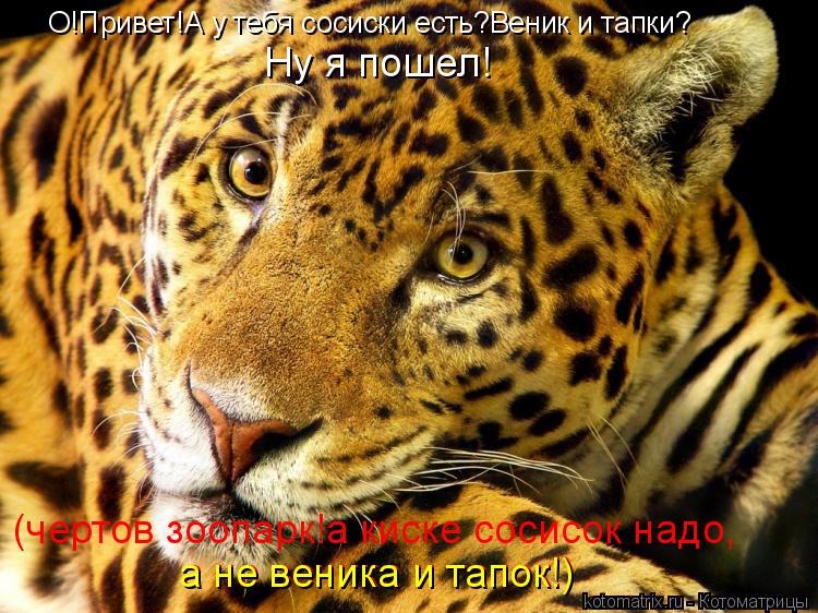Котоматрица: О!Привет!А у тебя сосиски есть?Веник и тапки? Ну я пошел! (чертов зоопарк!а киске сосисок надо, а не веника и тапок!) а не веника и тапок!)