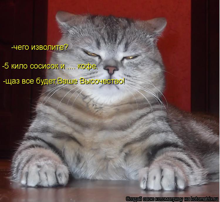 Котоматрица: -чего изволите? -5 кило сосисок и .... кофе. -щаз все будет,Ваше Высочество!