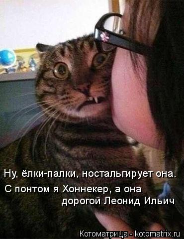 Котоматрица: Ну, ёлки-палки, ностальгирует она. С понтом я Хоннекер, а она дорогой Леонид Ильич