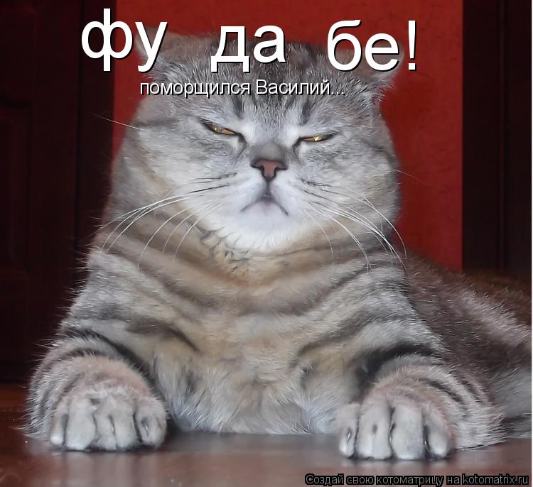 Котоматрица: фу  да бе! поморщился Василий...
