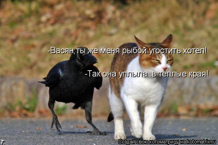 Котоматрица: -Васян,ты же меня рыбой угостить хотел! -Так она уплыла..в теплые края!