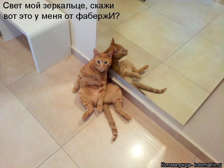 Котоматрица: Свет мой зеркальце, скажи вот это у меня от фабержИ?