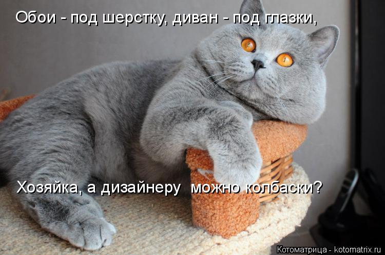 Котоматрица: Обои - под шерстку, диван - под глазки, Хозяйка, а дизайнеру  можно колбаски?