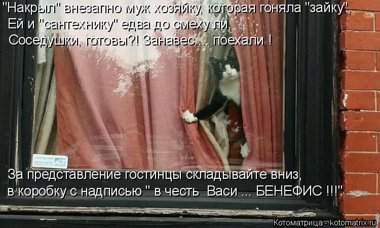 Котоматрица: "Накрыл" внезапно муж хозяйку, которая гоняла "зайку", Ей и "сантехнику" едва до смеху ли, Соседушки, готовы?! Занавес.... поехали ! За представле