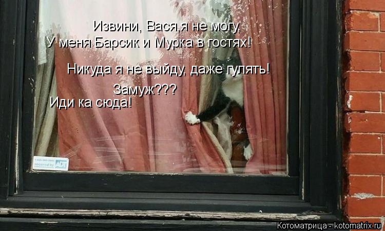Котоматрица: Извини, Вася,я не могу, У меня Барсик и Мурка в гостях!  Никуда я не выйду, даже гулять! Замуж???  Иди ка сюда!