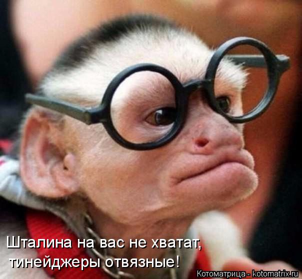 Котоматрица: Шталина на вас не хватат,  тинейджеры отвязные!