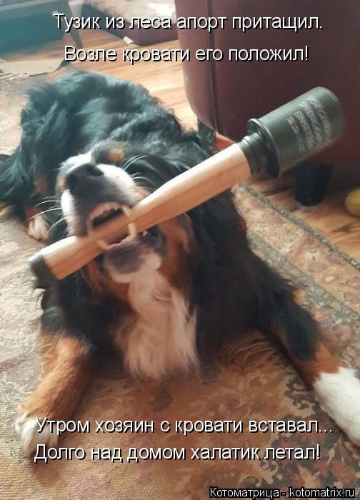 Котоматрица: Тузик из леса апорт притащил. Возле кровати его положил! Утром хозяин с кровати вставал... Долго над домом халатик летал!