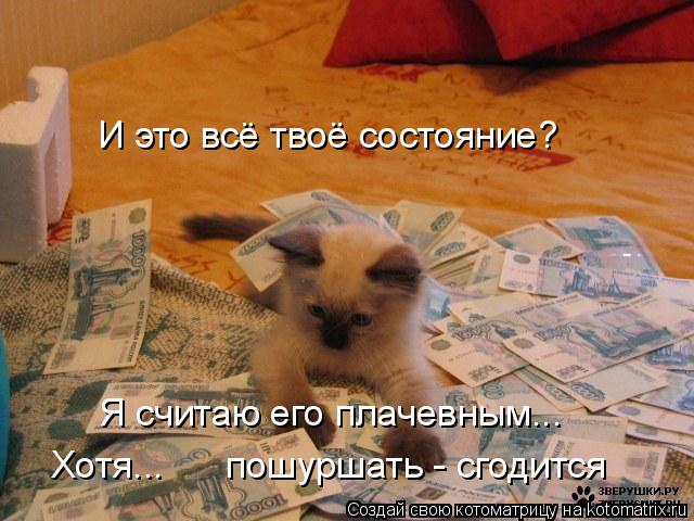 Котоматрица: И это всё твоё состояние? Я считаю его плачевным... Хотя...      пошуршать - сгодится