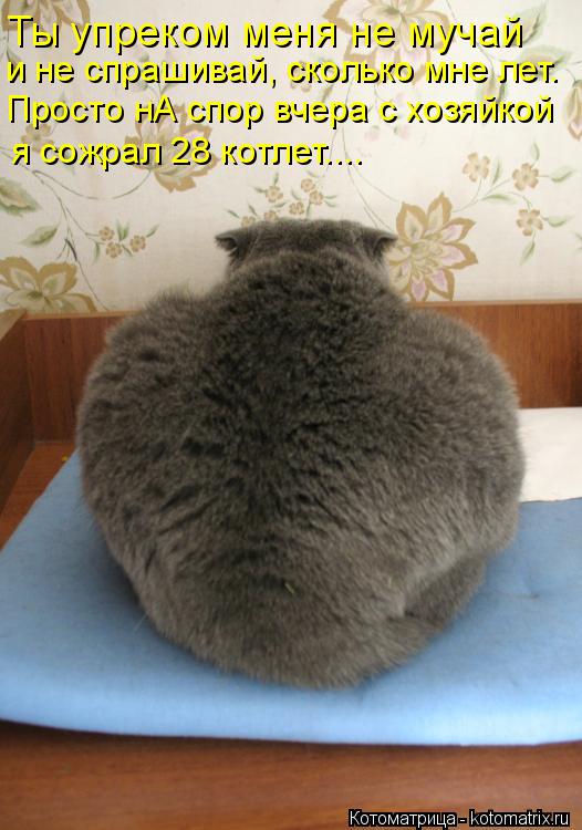 Котоматрица: Ты упреком меня не мучай  и не спрашивай, сколько мне лет. Просто нА спор вчера с хозяйкой  я сожрал 28 котлет....