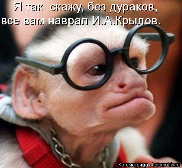 Я так скажу, без дураков, все вам наврал И.А.Крылов.... Котоматрица: Я так скажу, без дураков, все вам наврал И.А.Крылов.