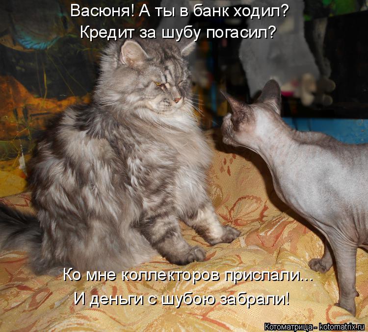 Котоматрица: Васюня! А ты в банк ходил? Кредит за шубу погасил? Ко мне коллекторов прислали... И деньги с шубою забрали!