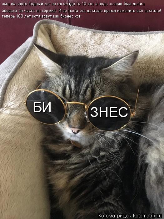 Котоматрица: жил на свете бедный кот не ел он где то 10 лет а ведь хозяин был дебил зверька он часто не кормил. И вот кота это достало время изменить всё нас