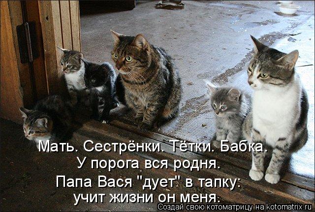 Котоматрица: У порога вся родня. учит жизни он меня. Папа Вася "дует" в тапку: Мать. Сестрёнки. Тётки. Бабка.