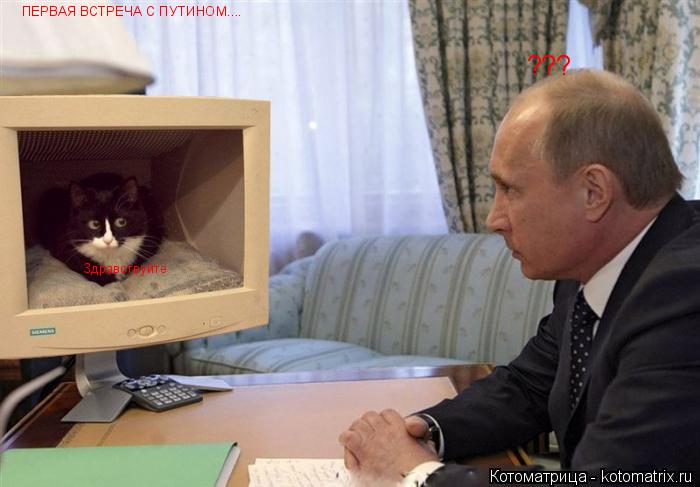 ПЕРВАЯ ВСТРЕЧА С ПУТИНОМ.... Здравствуйте ???... Котоматрица: ПЕРВАЯ ВСТРЕЧА С ПУТИНОМ.... Здравствуйте ???