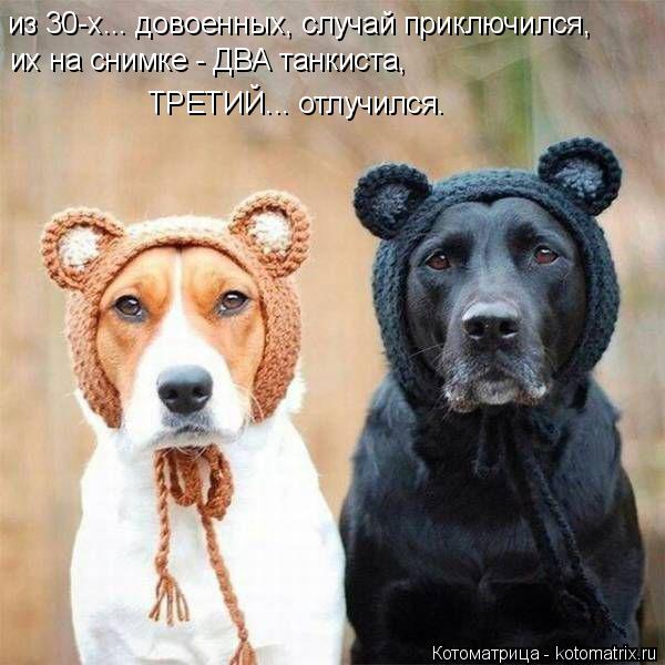Котоматрица: из 30-х... довоенных, случай приключился, их на снимке - ДВА танкиста, ТРЕТИЙ... отлучился.