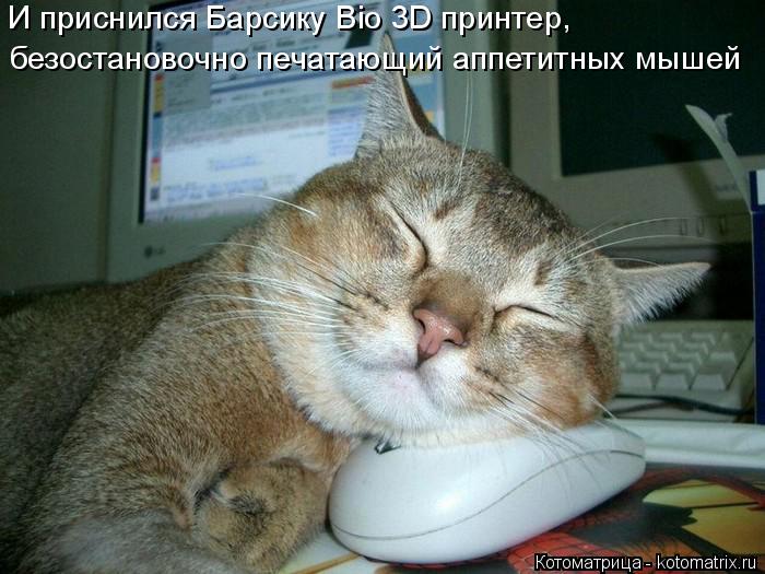 И приснился Барсику Bio 3D принтер, безостановочно печатающий аппетитных мышей... Котоматрица: И приснился Барсику Bio 3D принтер, безостановочно печатающий аппетитных мышей