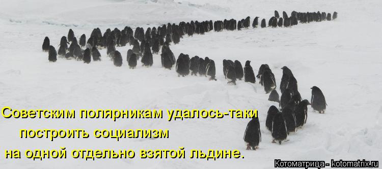 Котоматрица: построить социализм Советским полярникам удалось-таки на одной отдельно взятой льдине.