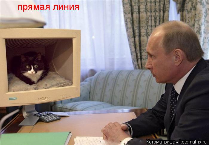 прямая линия... Котоматрица: прямая линия