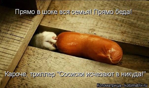Котоматрица: Прямо в шоке вся семья! Прямо беда!  Кароче, триллер "Сосиски исчезают в никуда!"
