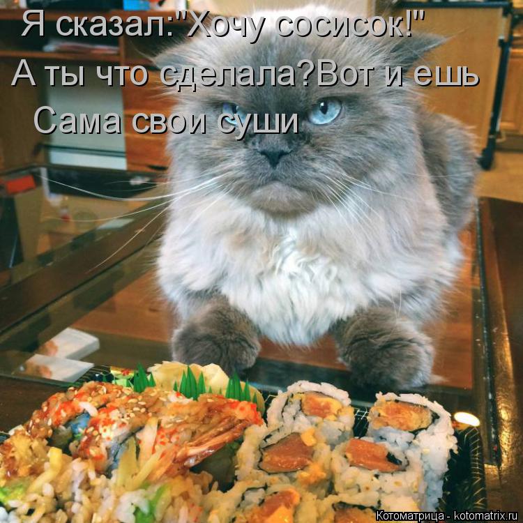 Котоматрица: Я сказал:"Хочу сосисок!" А ты что сделала?Вот и ешь Сама свои суши