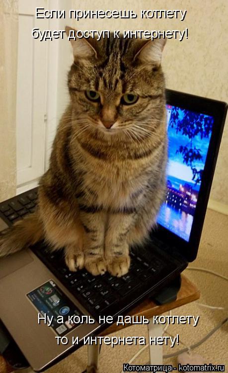 Котоматрица: Если принесешь котлету будет доступ к интернету! Ну а коль не дашь котлету то и интернета нету!