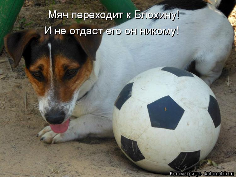 Котоматрица: Мяч переходит к Блохину! И не отдаст его он никому!