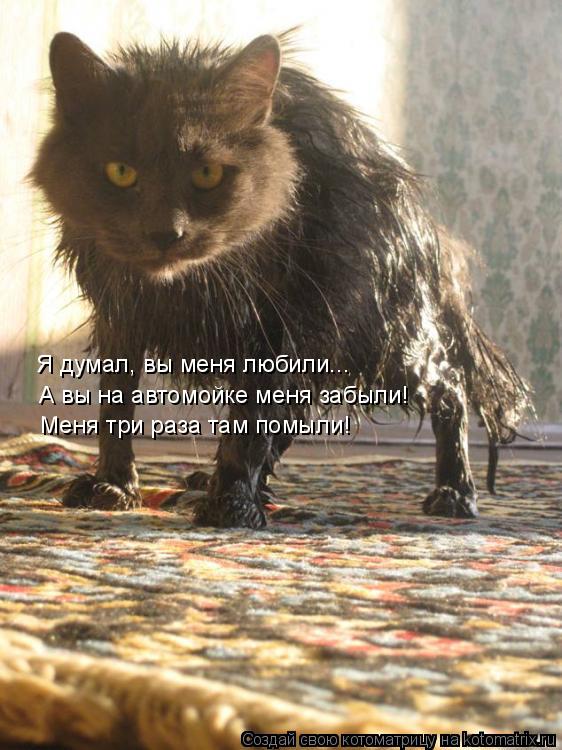 Котоматрица: Я думал, вы меня любили... А вы на автомойке меня забыли!  Меня три раза там помыли!