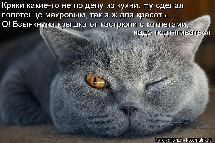 Крики какие-то не по делу из кухни. Ну сделал полотенце махровым, так я ж для красоты... О! Бзынкнула... Котоматрица: Крики какие-то не по делу из кухни. Ну сделал полотенце махровым, так я ж для красоты... О! Бзынкнула крышка от кастрюли с котлетами, надо подт