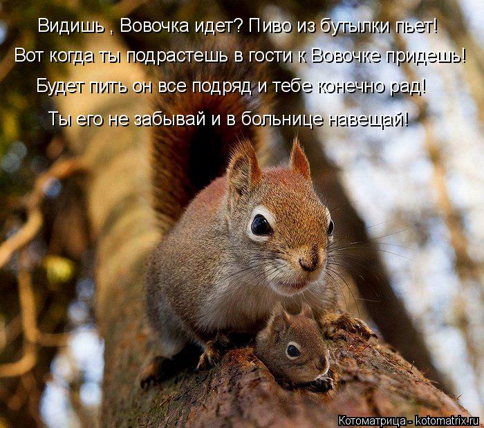 Котоматрица: Видишь , Вовочка идет? Пиво из бутылки пьет! Вот когда ты подрастешь в гости к Вовочке придешь! Будет пить он все подряд и тебе конечно рад! Ты