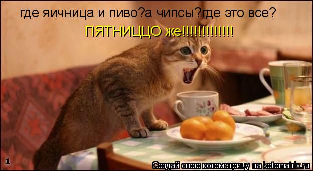 Котоматрица: где яичница и пиво?а чипсы?где это все? ПЯТНИЦЦО же!!!!!!!!!!!!!