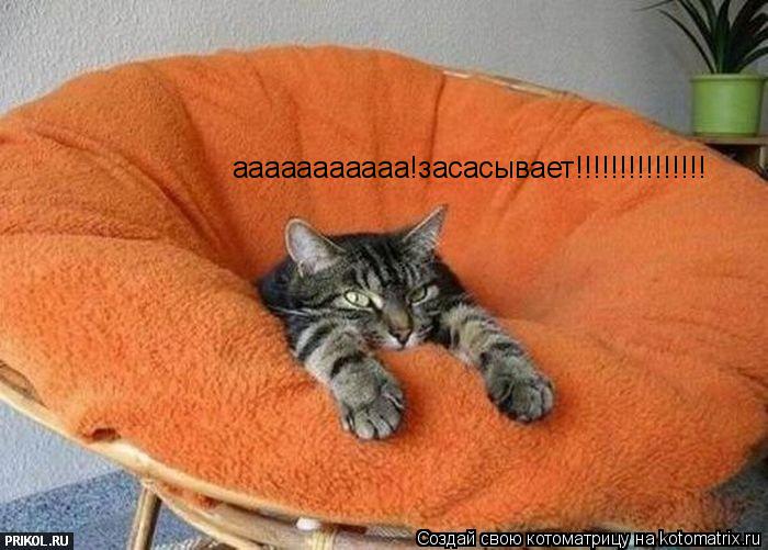 Котоматрица: ааааааааааа!засасывает!!!!!!!!!!!!!!!