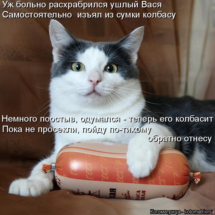 Котоматрица: Уж больно расхрабрился ушлый Вася Самостоятельно  изъял из сумки колбасу  Немного поостыв, одумался - теперь его колбасит  Пока не просекли,