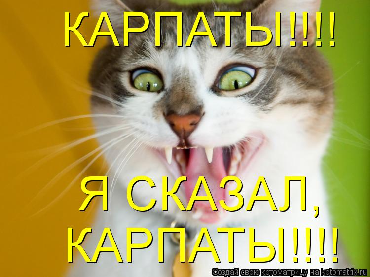 Котоматрица: КАРПАТЫ!!!! Я СКАЗАЛ, КАРПАТЫ!!!!