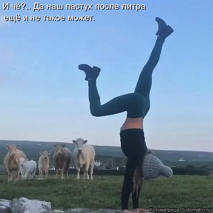 И чё?.. Да наш пастух после литра ещё и не такое может.... Котоматрица: И чё?.. Да наш пастух после литра ещё и не такое может.