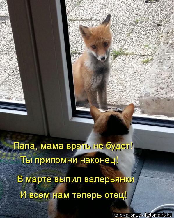 Котоматрица: Папа, мама врать не будет! В марте выпил валерьянки И всем нам теперь отец! Ты припомни наконец!