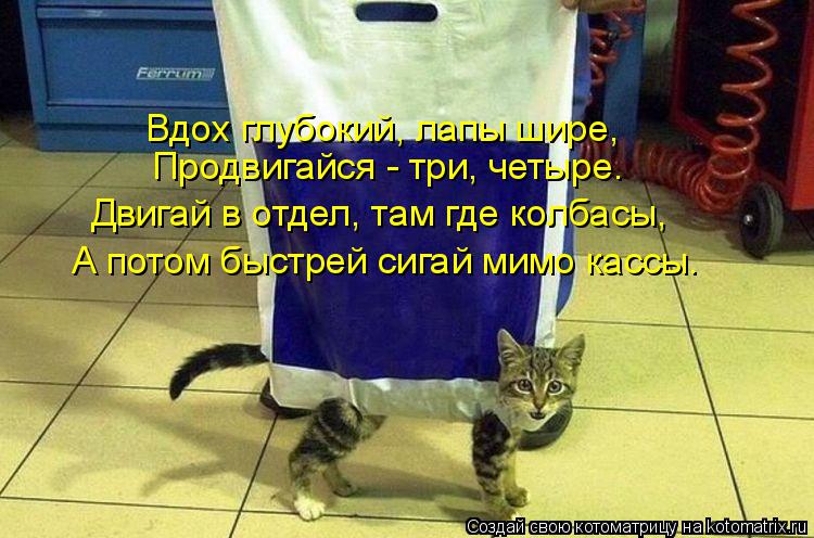 Котоматрица: Вдох глубокий, лапы шире, Продвигайся - три, четыре. А потом быстрей сигай мимо кассы. Двигай в отдел, там где колбасы,