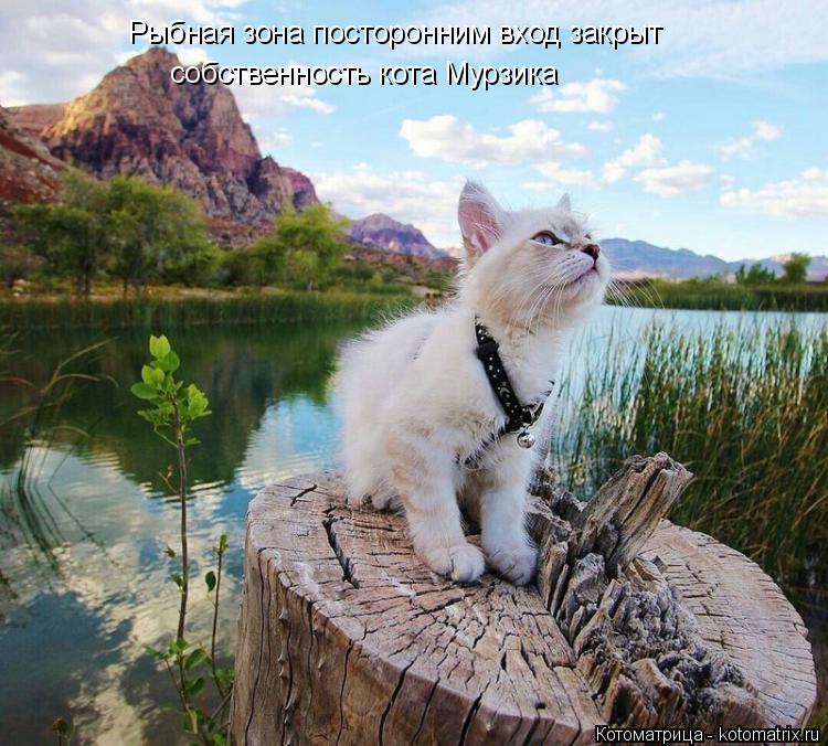 Котоматрица: Рыбная зона посторонним вход закрыт  собственность кота Мурзика