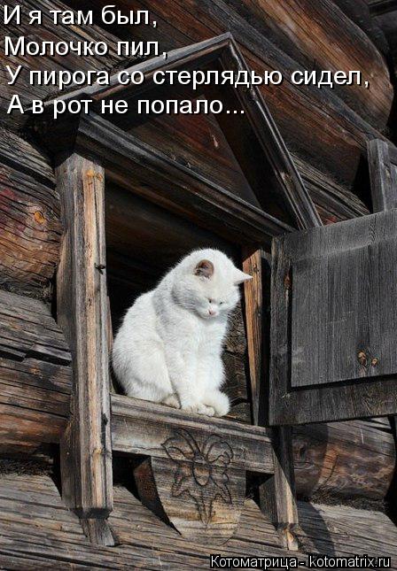 И я там был, Молочко пил, У пирога со стерлядью сидел, А в рот не попало...... Котоматрица: И я там был, Молочко пил, У пирога со стерлядью сидел, А в рот не попало...