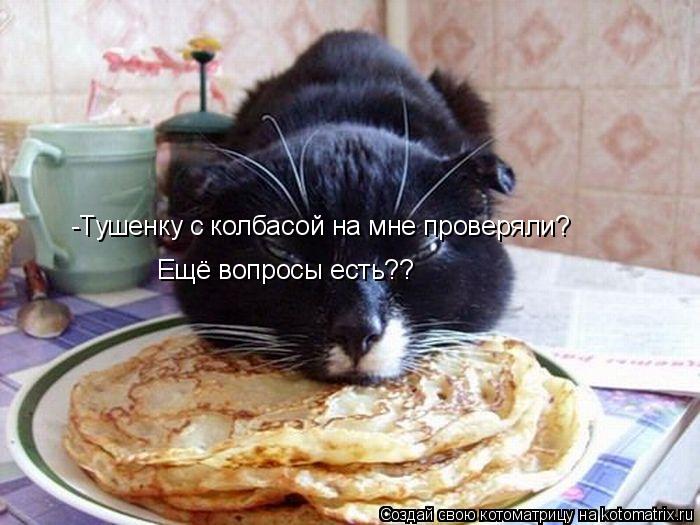 Котоматрица: -Тушенку с колбасой на мне проверяли? Ещё вопросы есть??