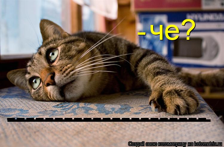 Котоматрица: че? - --------------------- --------------------- ---------------------