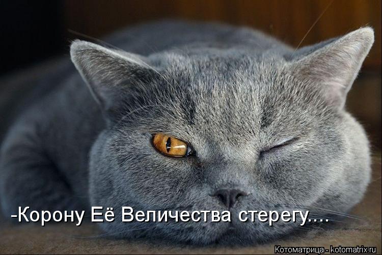 Котоматрица: -Корону Её Величества стерегу....