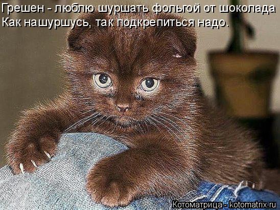 Грешен - люблю шуршать фольгой от шоколада Как нашуршусь, так подкрепиться надо.... Котоматрица: Грешен - люблю шуршать фольгой от шоколада Как нашуршусь, так подкрепиться надо.