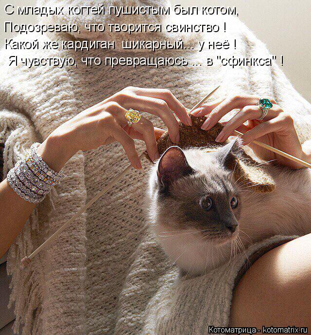 С младых когтей пушистым был котом, Подозреваю, что творится свинство ! Какой же кардиган шикарный..... Котоматрица: С младых когтей пушистым был котом, Подозреваю, что творится свинство ! Какой же кардиган шикарный... у неё ! Я чувствую, что превращаюсь ... в "