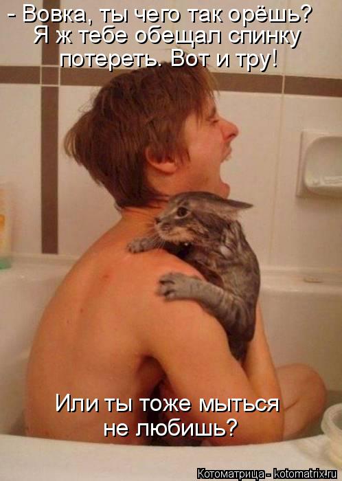 - Вовка, ты чего так орёшь? Я ж тебе обещал спинку Или ты тоже мыться не любишь? потереть. Вот и тру... Котоматрица: - Вовка, ты чего так орёшь? Я ж тебе обещал спинку Или ты тоже мыться не любишь? потереть. Вот и тру!
