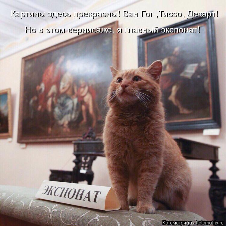 Картины здесь прекрасны! Ван Гог ,Тиссо, Декарт! Но в этом вернисаже, я главный экспонат!... Котоматрица: Картины здесь прекрасны! Ван Гог ,Тиссо, Декарт! Но в этом вернисаже, я главный экспонат!